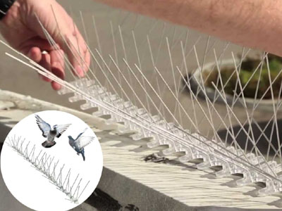 Anti Bird Spikes